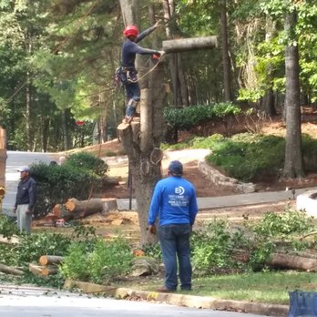 ED Tree Care - Tree Services Near Me - Cumming, Georgia