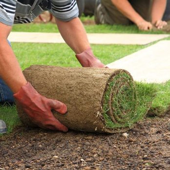 A-Team Outdoors - a man laying turf in a yard - Landscaping Near Me - Clearwater, Minnesota A-Team Outdoors - a man laying turf in a yard - Landscaping Near Me - Clearwater, Minnesota