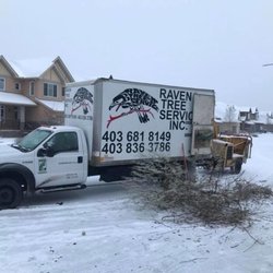 Raven Tree Service - Photo