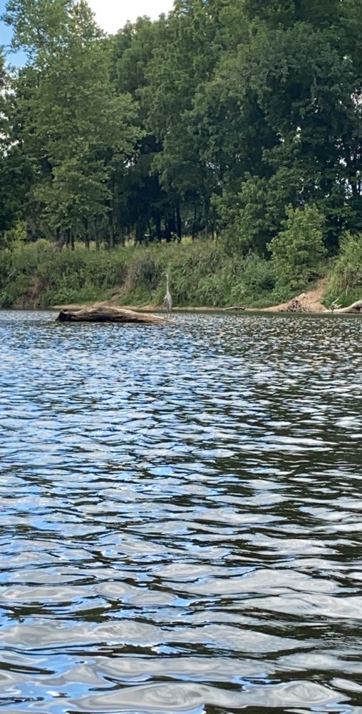 CAMP TOMAHAWK TWOMILE TUBE FLOAT Updated August 2024 30 Photos