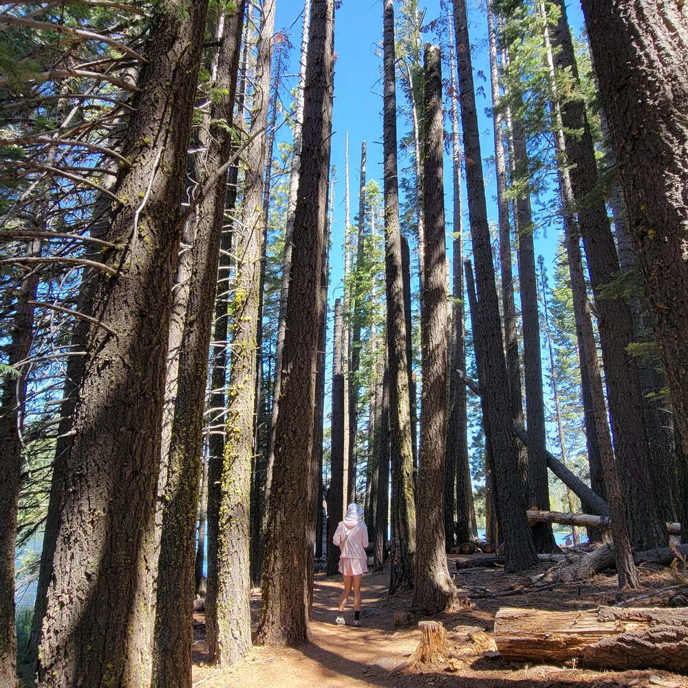 Manzanita Lake loop - Hiking Near Me
