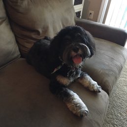 Cali loves her new haircut! Cali loves her new haircut!
