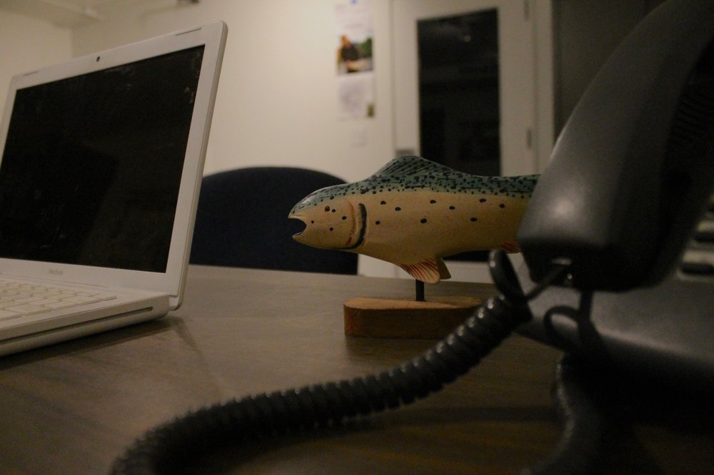 Social spots from Exitus