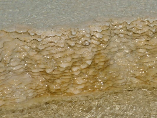 Mammoth Hot Springs by null