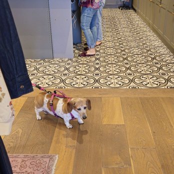 Johnny Was - A very cute pawstomer. - Women's Clothing Near Me - Calabasas, California Johnny Was - A very cute pawstomer. - Women's Clothing Near Me - Calabasas, California