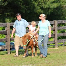 GratiDude Ranch - Pony rides make for a fun Country Birthday Bash!