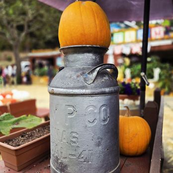 Lemos Farm - Fall - Amusement Parks Near Me - Half Moon Bay, California