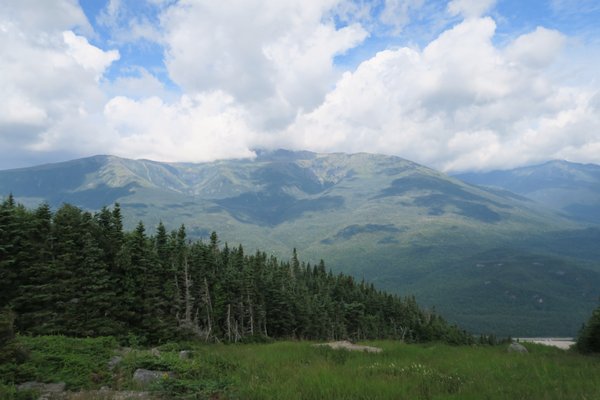 Wildcat Mountain by null