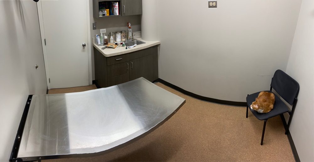 NEAR NORTH ANIMAL HOSPITAL 12 Photos & 84 Reviews 1207 N Wells St