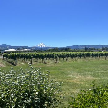 Mt Hood Winery - Wineries Near Me - Hood River, Oregon Mt Hood Winery - Wineries Near Me - Hood River, Oregon
