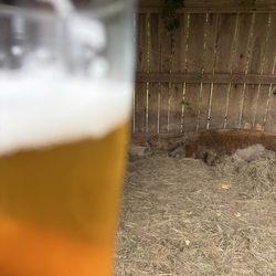 Wooly Pig Farm Brewery