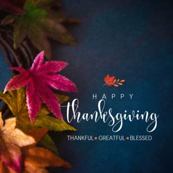 Happy Thanksgiving from Brows & Lashes By Angel!