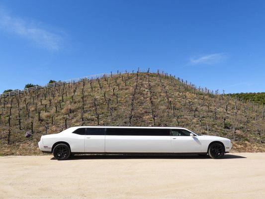 DODGE CHALLENGER LIMO - DODGE CHALLENGER 10 PASSENGER LIMO