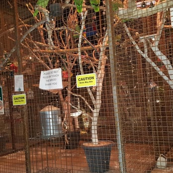 The Perch Brewery - Bird cage by the front. Place is called Perch.. Rescued birds. - Gastropubs Near Me - Chandler, Arizona The Perch Brewery - Bird cage by the front. Place is called Perch.. Rescued birds. - Gastropubs Near Me - Chandler, Arizona