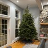 Village Green Nurseries gift card