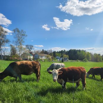 Shaw Farms - Ranches Near Me - Paris, Maine Shaw Farms - Ranches Near Me - Paris, Maine