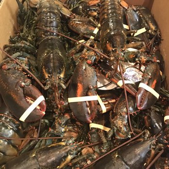 Shore To Door - Seafood Markets Near Me - Miami, Florida Shore To Door - Seafood Markets Near Me - Miami, Florida