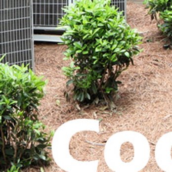 Benitz Service - Cooling - Heating & Air Conditioning/HVAC Near Me - Sedalia, Missouri