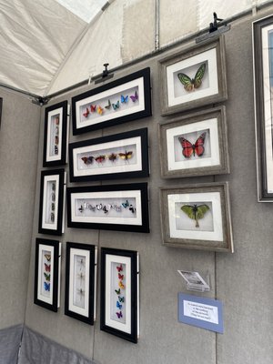 Coconut Grove Arts Festival by null
