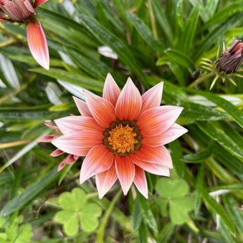 Kula Botanical Gardens - Parks Near Me - Kula, Hawaii