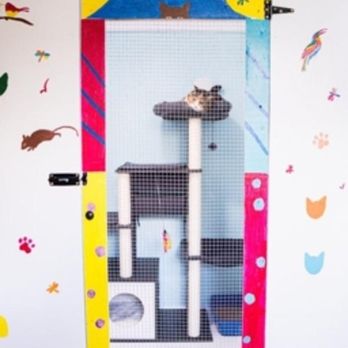 Halifax Kitty Hotel - Photo - Pet Boarding Near Me - Dartmouth, Nova Scotia