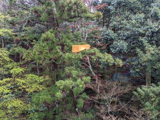 iwaso by null
