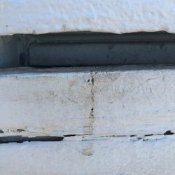 Best Pest Management