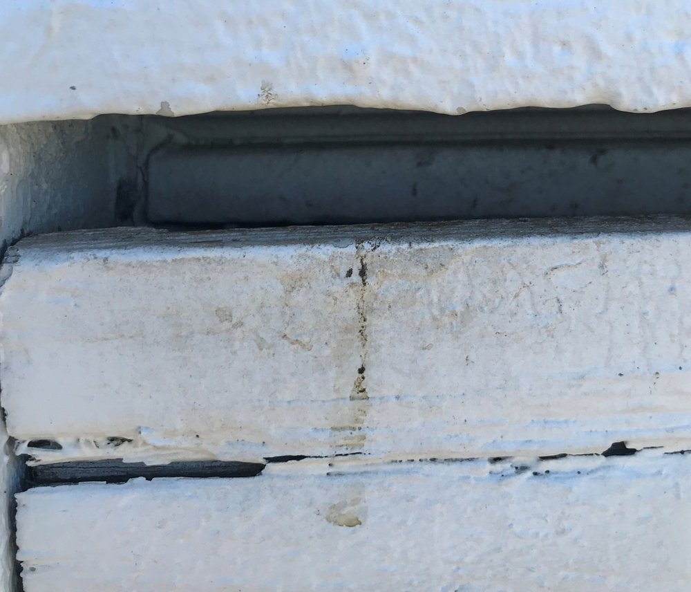 Best Pest Management - veterans service organization in Banks, OR