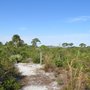 Photo of Brevard County