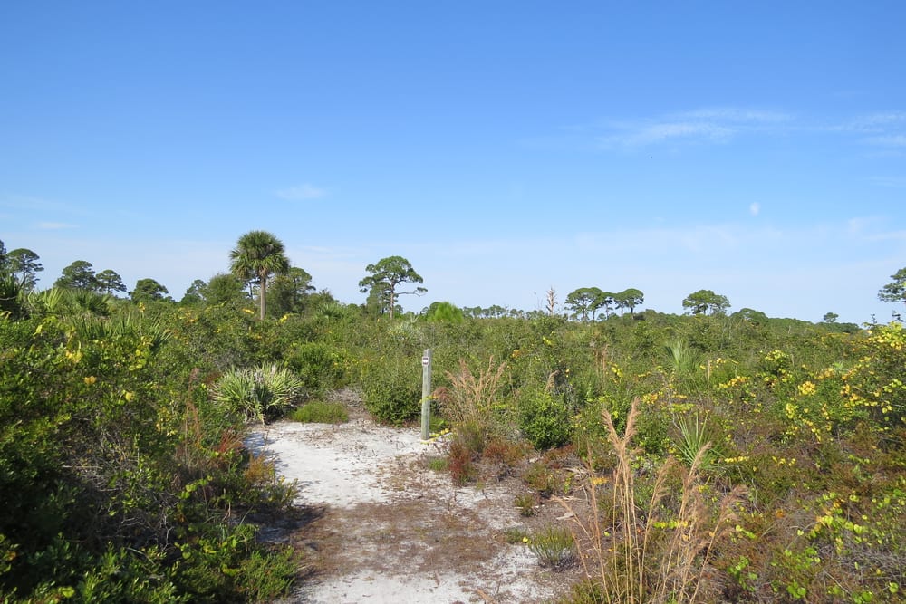 Brevard County Image