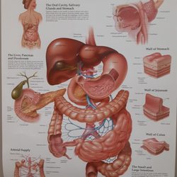 Digestive Disease Associates
