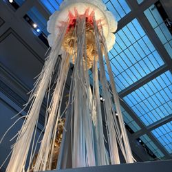 Smithsonian National Museum of Natural History - Model jellyfish in the marine life exhibit