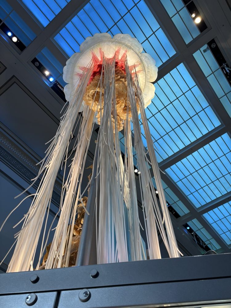 Smithsonian National Museum of Natural History