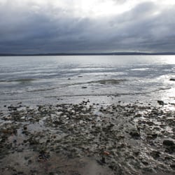 Lepe Country Park - Lepe Country Park, Exbury, Southampton