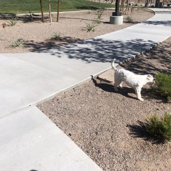 Trigono Hills Park - Parks Near Me - Las Vegas, Nevada Trigono Hills Park - Parks Near Me - Las Vegas, Nevada