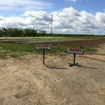 La Ferme du Verger - Farmers Market Near Me - Amilly, 28