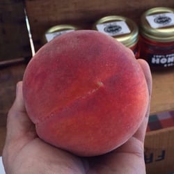 Always picked ripe. Super sweet. Best peaches in Placer county.