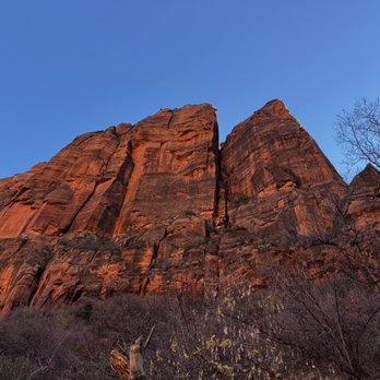 Watchman Campground - Campgrounds Near Me - Springdale, Utah