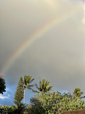 Myths of Maui luau by null
