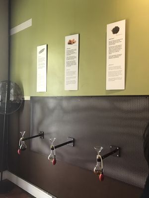 Museo del Chocolate by null