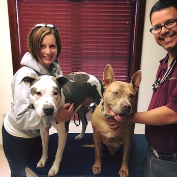 Adoring Pets - Veterinarians Near Me - Hamburg, New York Adoring Pets - Veterinarians Near Me - Hamburg, New York
