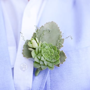 Terra Malia Designs - Event Planning & Services Near Me Terra Malia Designs - Event Planning & Services Near Me