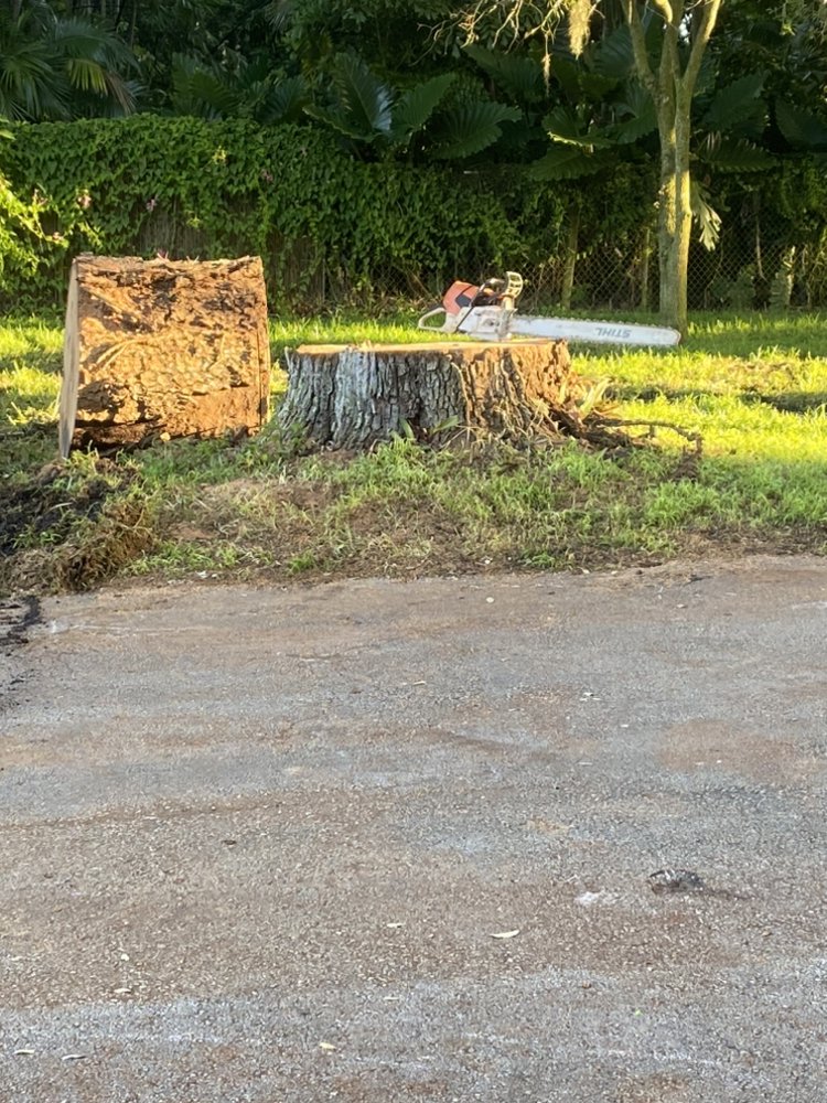 HMD TREE AND LAWN SERVICE Request a Quote Davie, Florida Lawn