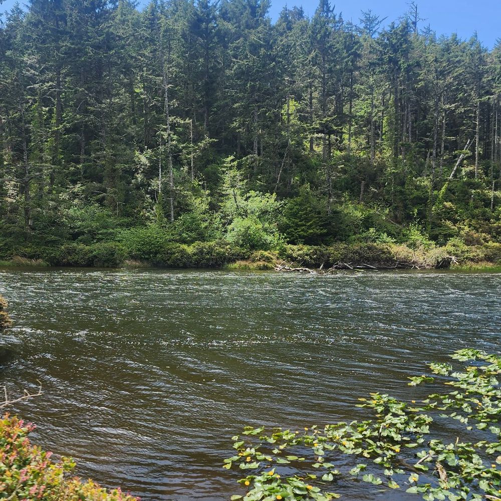 Oregon Coast Scenic Railroad - View - Tours Near Me - Garibaldi, Oregon Oregon Coast Scenic Railroad - View - Tours Near Me - Garibaldi, Oregon