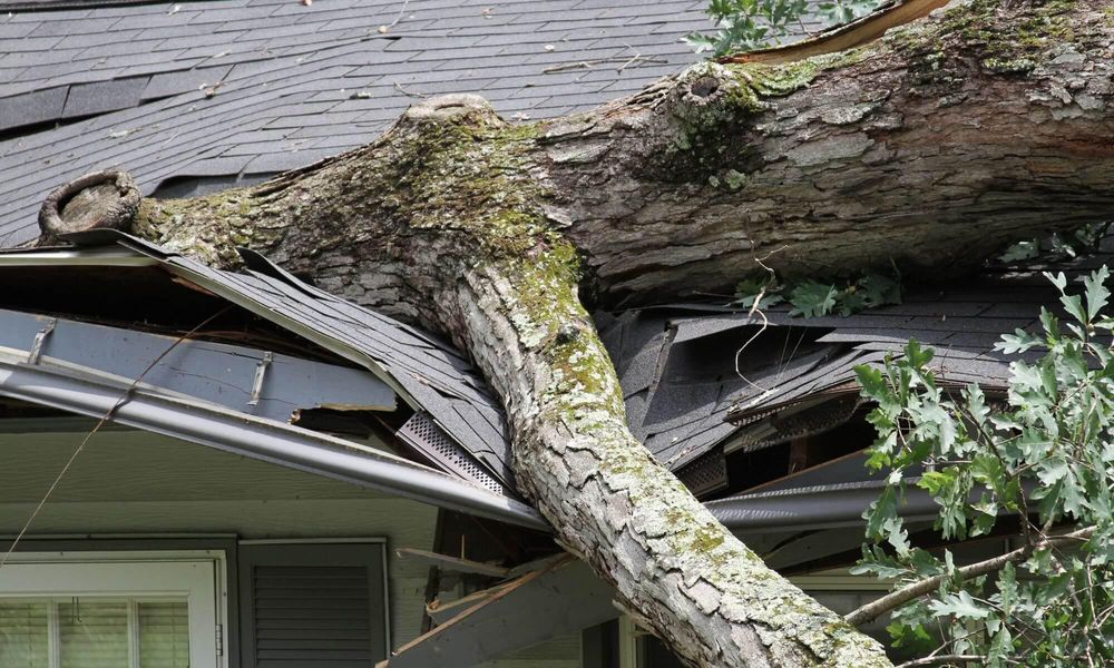 Slide of Bluejay Roofing