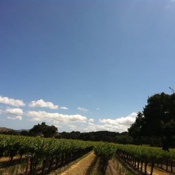 The Wine Line - Wine Tours Near Me The Wine Line - Wine Tours Near Me