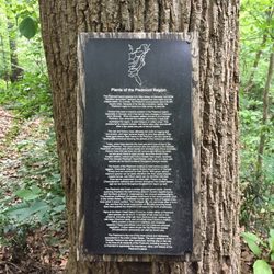Glenn Creek Nature Preserve