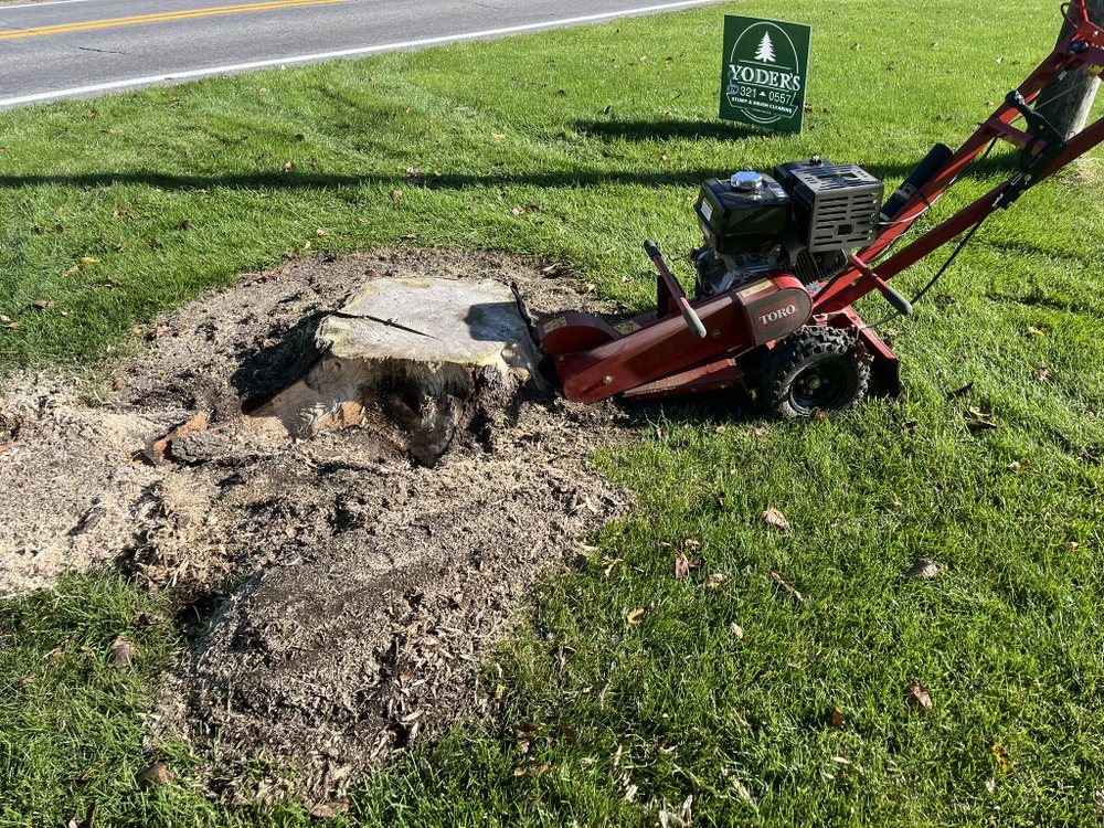 Yoder’s Stump and Brush Clearing - veterans service organization in Akron, IN