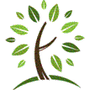 Photo of Custom View Tree & Landscape