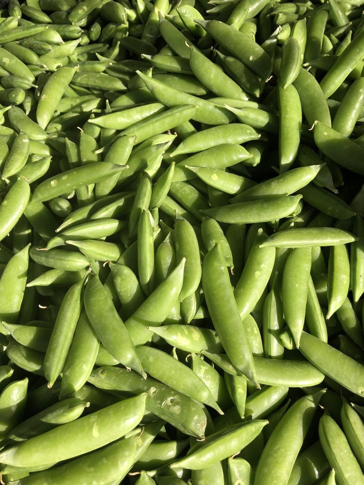 Old Town Calabasas Farmers Market Updated COVID19 Hours & Services